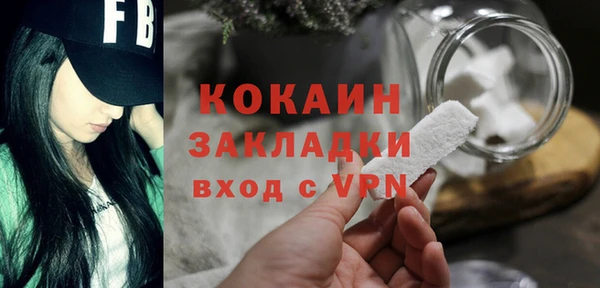 прущие грибы Беломорск