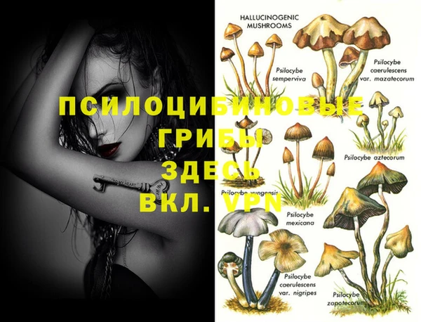 сатива Балабаново