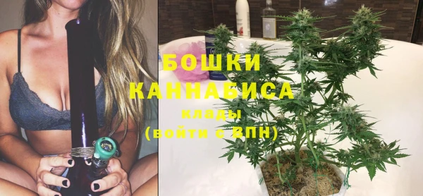 прущие грибы Беломорск