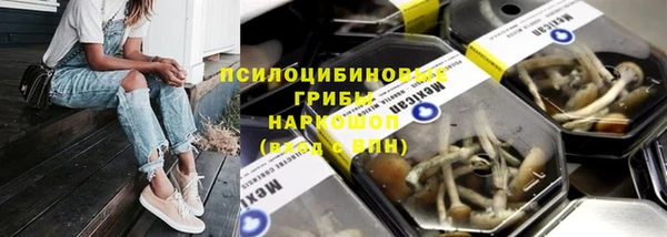 Альфа ПВП Белокуриха