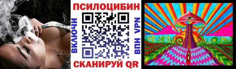 магазин наркотиков Северо-Курильск Галлюциногенные грибы Cubensis